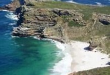 Full Day Combo Cape Point and Winelands Tour